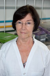 Vera Lúcia Pereira Soares